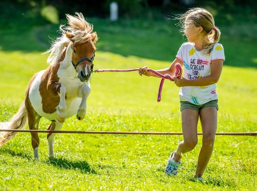 Ponyspass