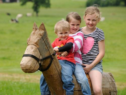 Hier beginnt das Reitabenteuer Hier beginnt das Reitabenteuer