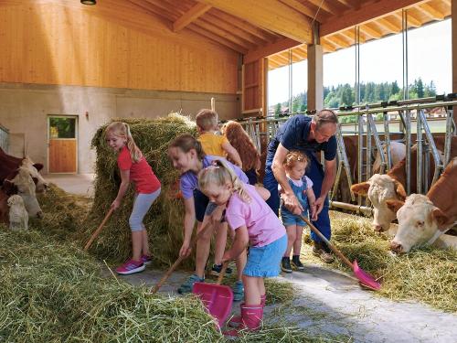 Mit Bauer Edi im Stall Mit Bauer Edi im Stall