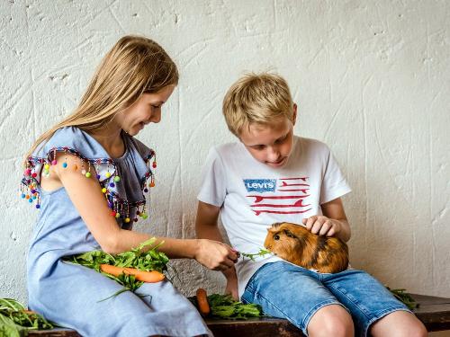 Kleine Tierfreunde, großes Glück Kleine Tierfreunde, großes Glück