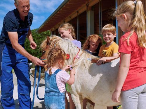 Kleine Künstler, großes Ponyglück Kleine Künstler, großes Ponyglück