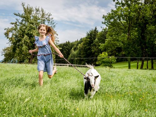 Kinderglueck auf vier Beinen Kinderglueck auf vier Beinen