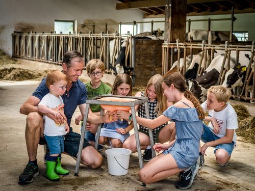Hier wird das Melken gelernt Hier wird das Melken gelernt