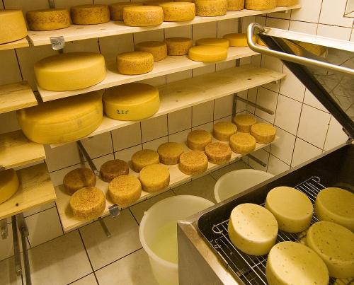 Hofeigener Käse