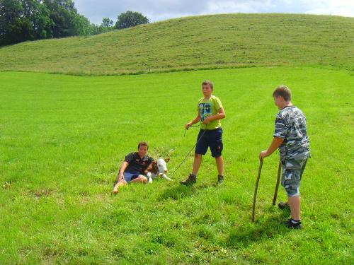 kälbchen auf der wiese