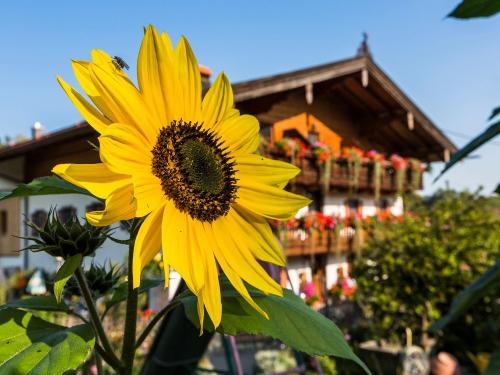 Herbstlicher Garten