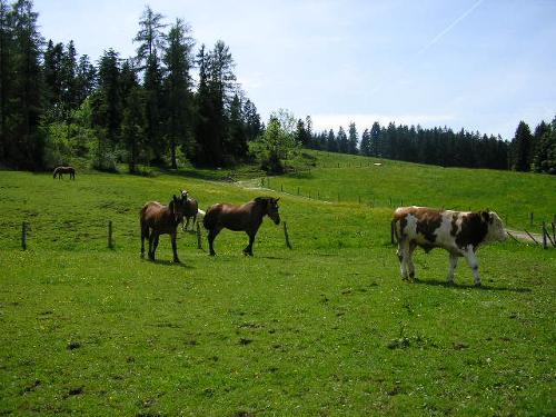 Sommertag