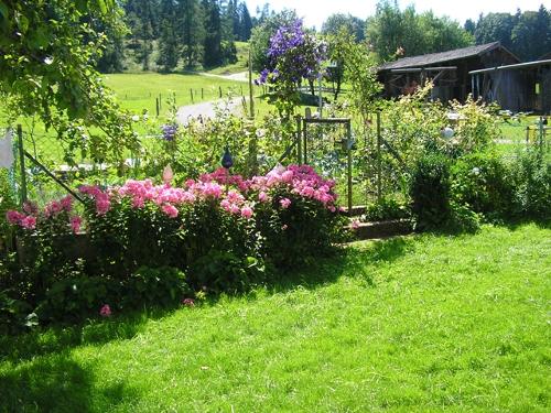 der Kräutergarten