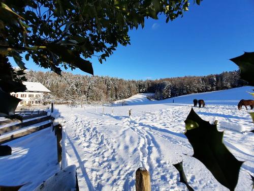 Winterromantik Winterromantik