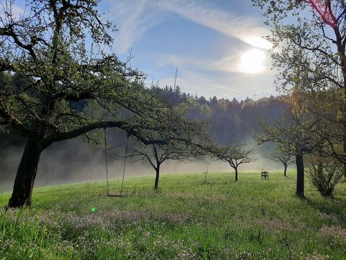 Frühlingszauber Frühlingszauber