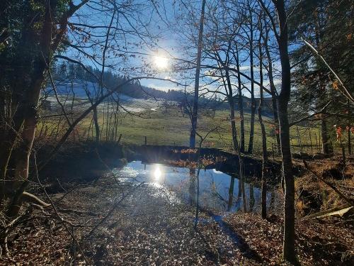 Weiher im Herbst Weiher im Herbst
