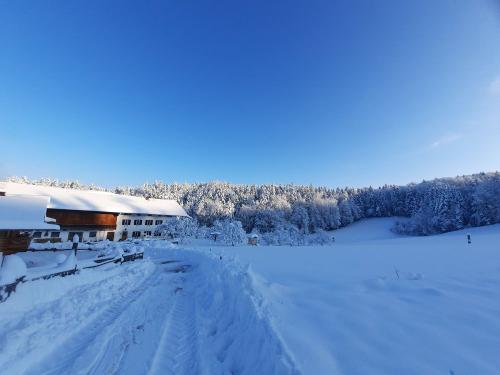 20231203_092236 20231203_092236