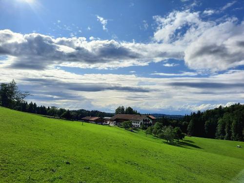 20230725_174032 20230725_174032