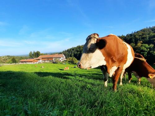 20231002_085846 20231002_085846