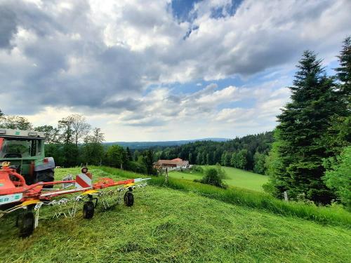 20230526_165253 20230526_165253