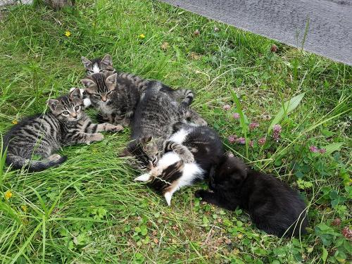 20230611_101639 20230611_101639