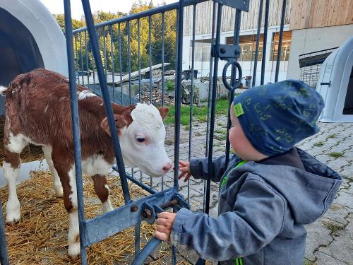 20230927_092344 20230927_092344