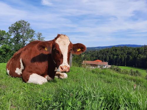 20230818_093114 20230818_093114