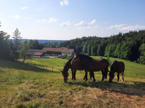 20230607_180554 20230607_180554