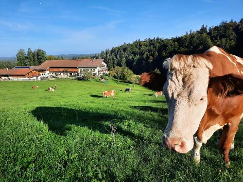 20231002_085828 20231002_085828