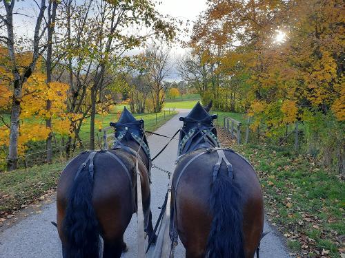 20231101_152657 20231101_152657