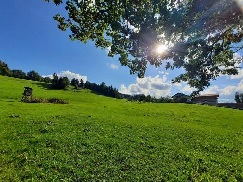 20230902_162731 20230902_162731