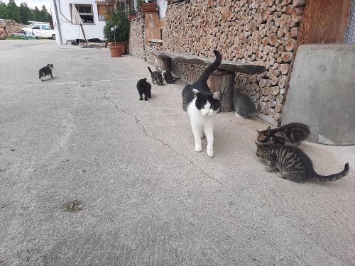 20230608_142227 20230608_142227