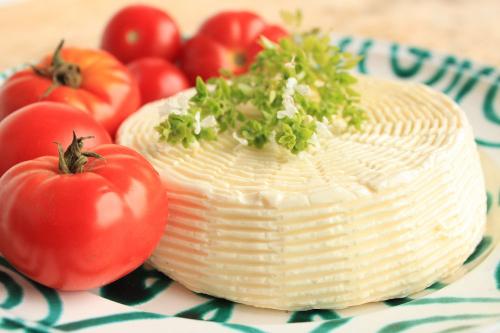 Selbstgemachter Mozzarella
