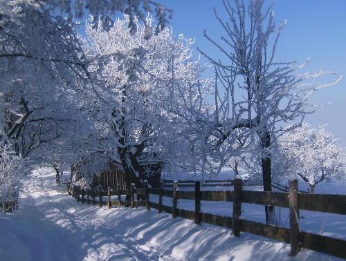 Winter