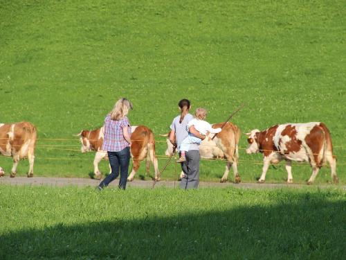 kheaufderweide