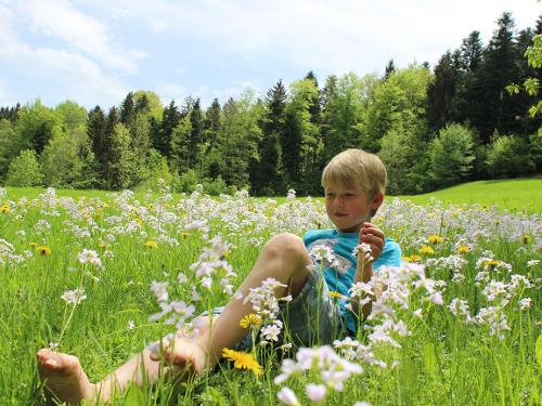 Natur genießen Natur genießen