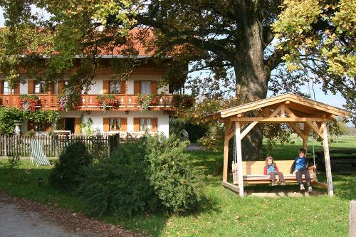 Der Innenhof mit Liegewiese und Schaukel