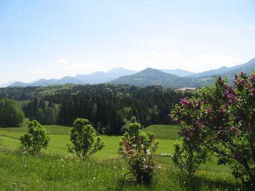 Herrliche Aussicht auf die Chiemgauer Alpen