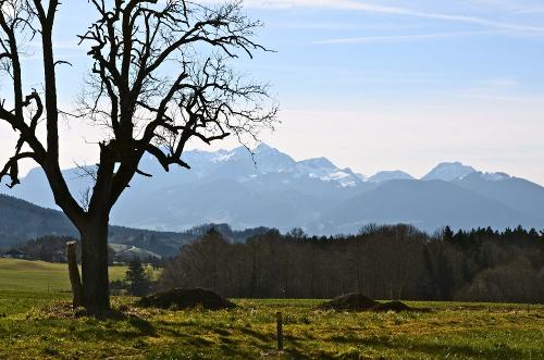 Blick zum Wendelstein