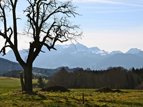 Blick zum Wendelstein Blick zum Wendelstein