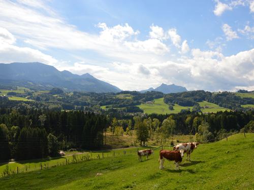 Panoramablick Panoramablick