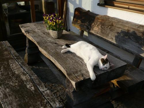 Besuch vor der Ferienwohnung
