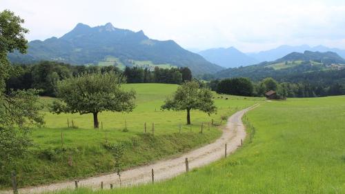 wiesenweg