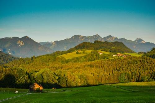 bilderhr.schmidtsommer2018151