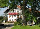 Sitzmöglichkeit Nussbaum
