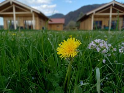 Chalets Löwenzahn
