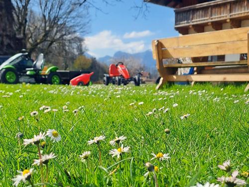 Frühling Blumen Ferienhaus klein