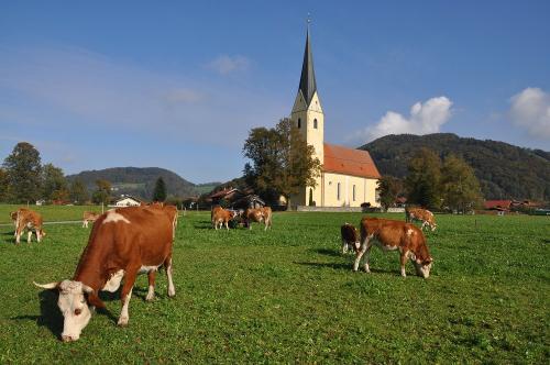 Unsere Tiere