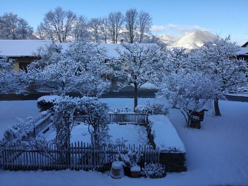 Traumhafte Winterlandschaft