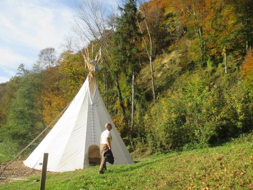 Tipi