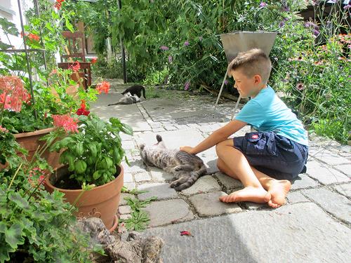 Kinder lieben Katzen