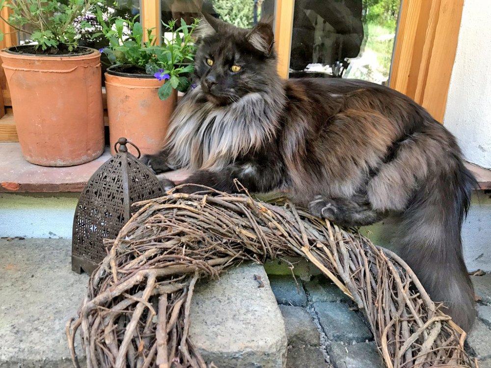 Ich hab´den Überblick! Ich hab´den Überblick!