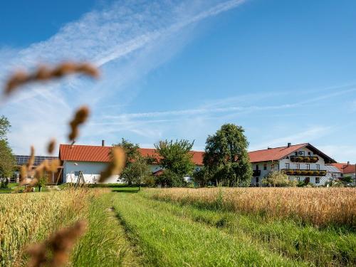 Feld- und Wiesenwege