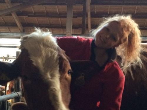 Kuscheln mit den Kühen