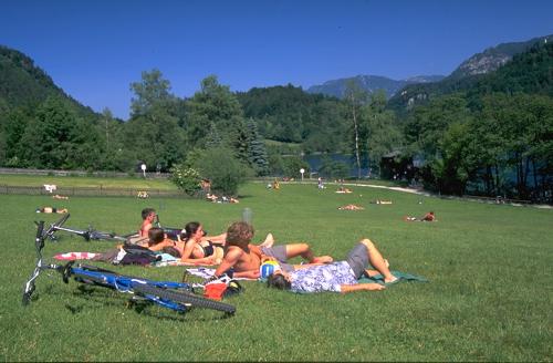thumsee